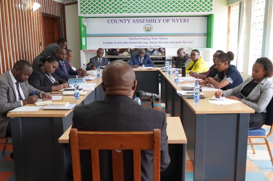 VETTING OF COUNTY EXECUTIVE COMMITTEE MEMBERS